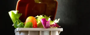 food-waste-bins-blog-banner