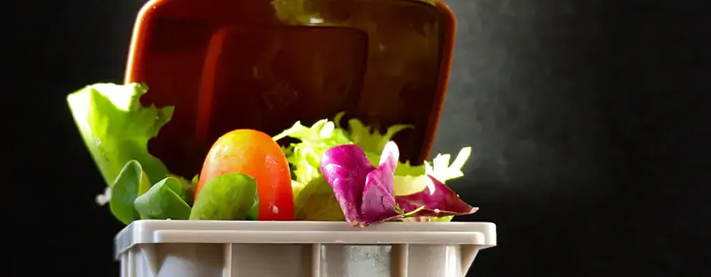 food-waste-bins-blog-banner